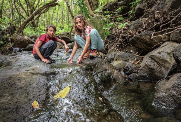Columbia sportswear donation request sale